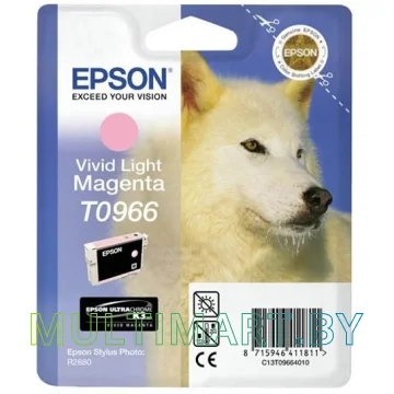 Картридж Epson C13T09664010